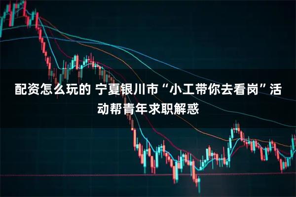 配资怎么玩的 宁夏银川市“小工带你去看岗”活动帮青年求职解惑