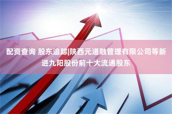 配资查询 股东追踪|陕西元道融管理有限公司等新进九阳股份前十大流通股东
