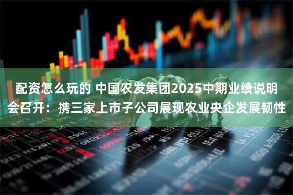 配资怎么玩的 中国农发集团2025中期业绩说明会召开：携三家上市子公司展现农业央企发展韧性