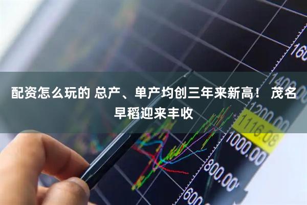 配资怎么玩的 总产、单产均创三年来新高！ 茂名早稻迎来丰收