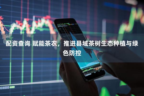 配资查询 赋能茶农，推进县域茶树生态种植与绿色防控