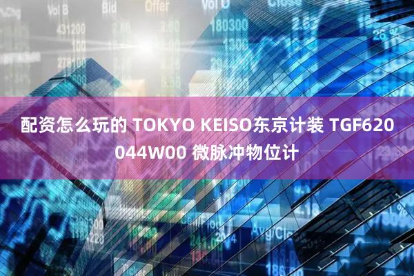 配资怎么玩的 TOKYO KEISO东京计装 TGF620044W00 微脉冲物位计