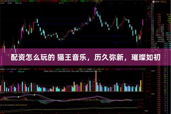 配资怎么玩的 猫王音乐，历久弥新，璀璨如初