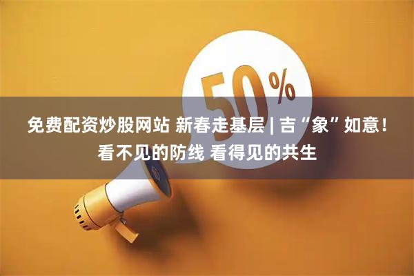 免费配资炒股网站 新春走基层 | 吉“象”如意！看不见的防线 看得见的共生