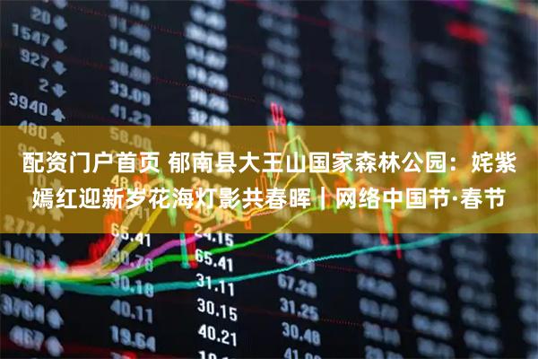 配资门户首页 郁南县大王山国家森林公园：姹紫嫣红迎新岁花海灯影共春晖｜网络中国节·春节