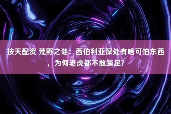 按天配资 荒野之谜：西伯利亚深处有啥可怕东西，为何老虎都不敢踏足?