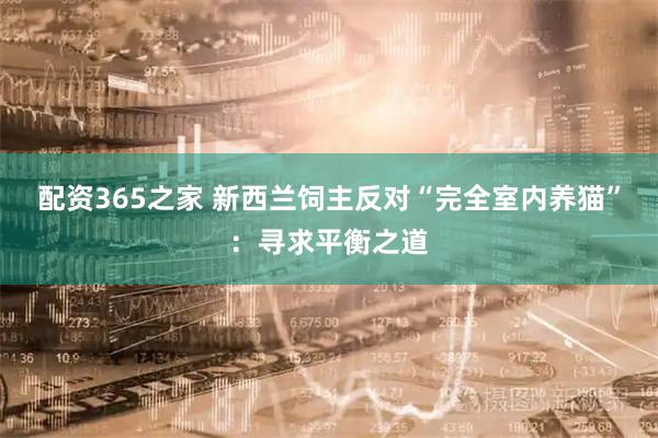 配资365之家 新西兰饲主反对“完全室内养猫”：寻求平衡之道