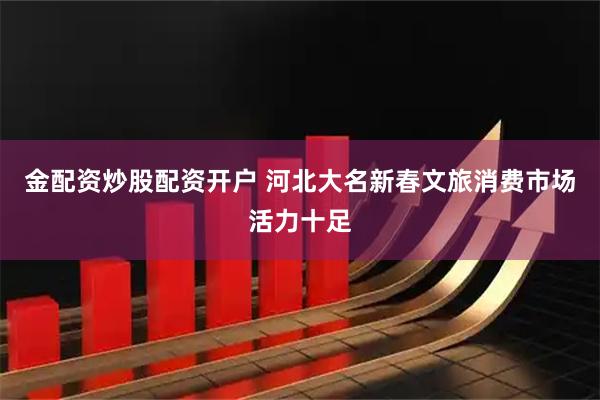 金配资炒股配资开户 河北大名新春文旅消费市场活力十足