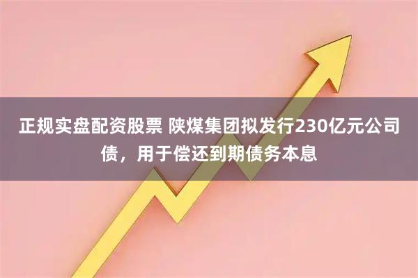正规实盘配资股票 陕煤集团拟发行230亿元公司债，用于偿还到期债务本息