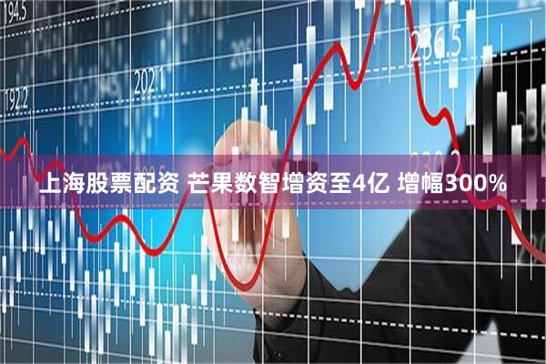 上海股票配资 芒果数智增资至4亿 增幅300%