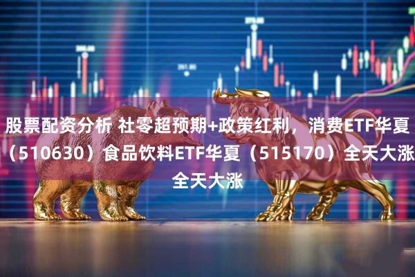股票配资分析 社零超预期+政策红利，消费ETF华夏（510630）食品饮料ETF华夏（515170）全天大涨